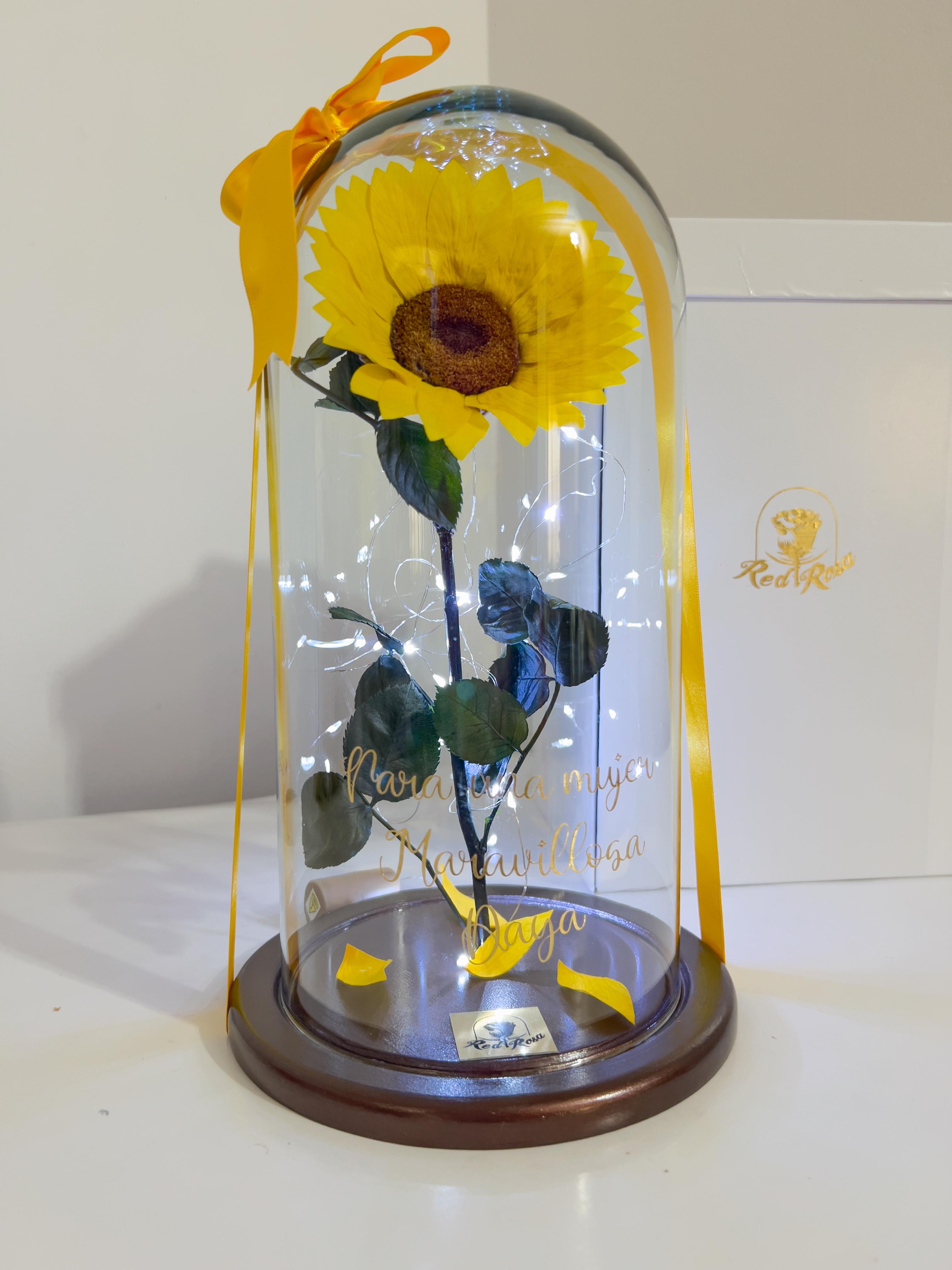 Luz Infinita-Girasol Premium - imagen del producto