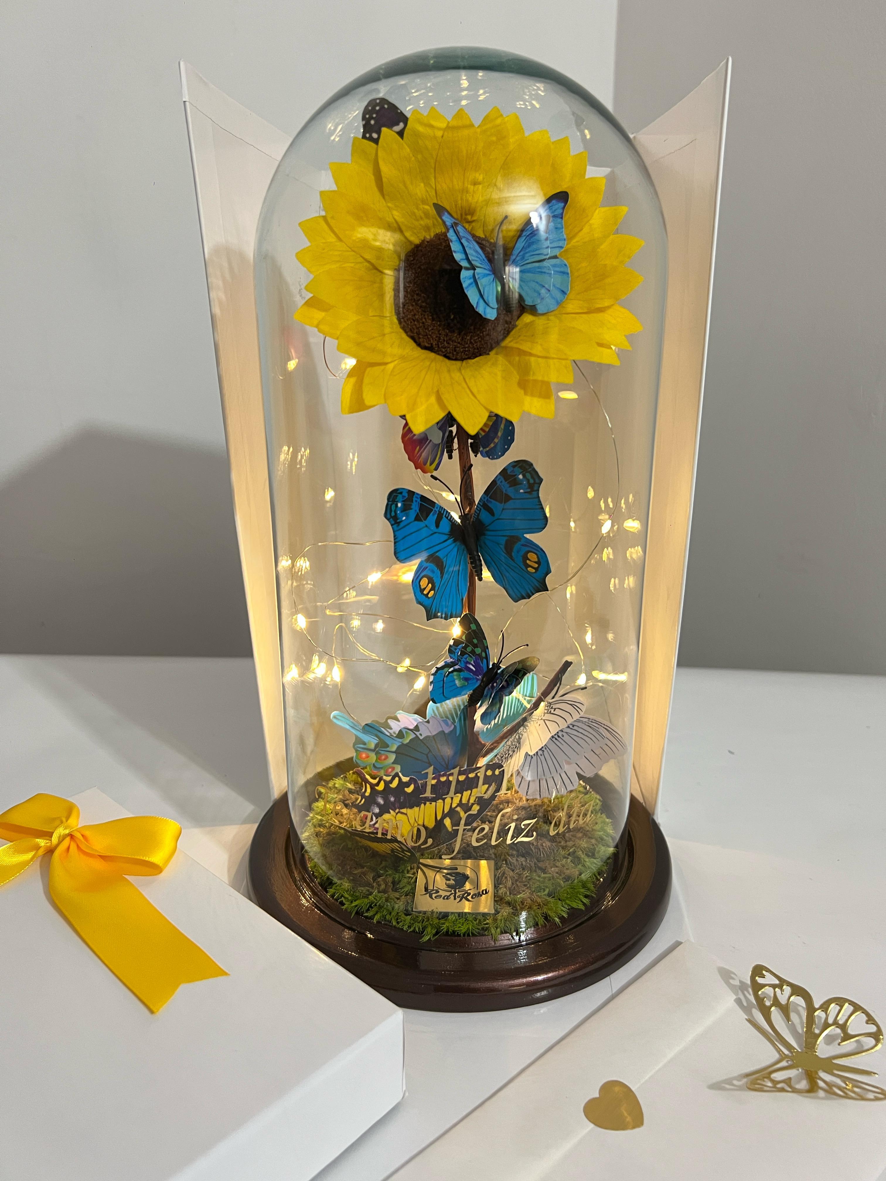 Sol Encantado-Girasol Premium - imagen del producto