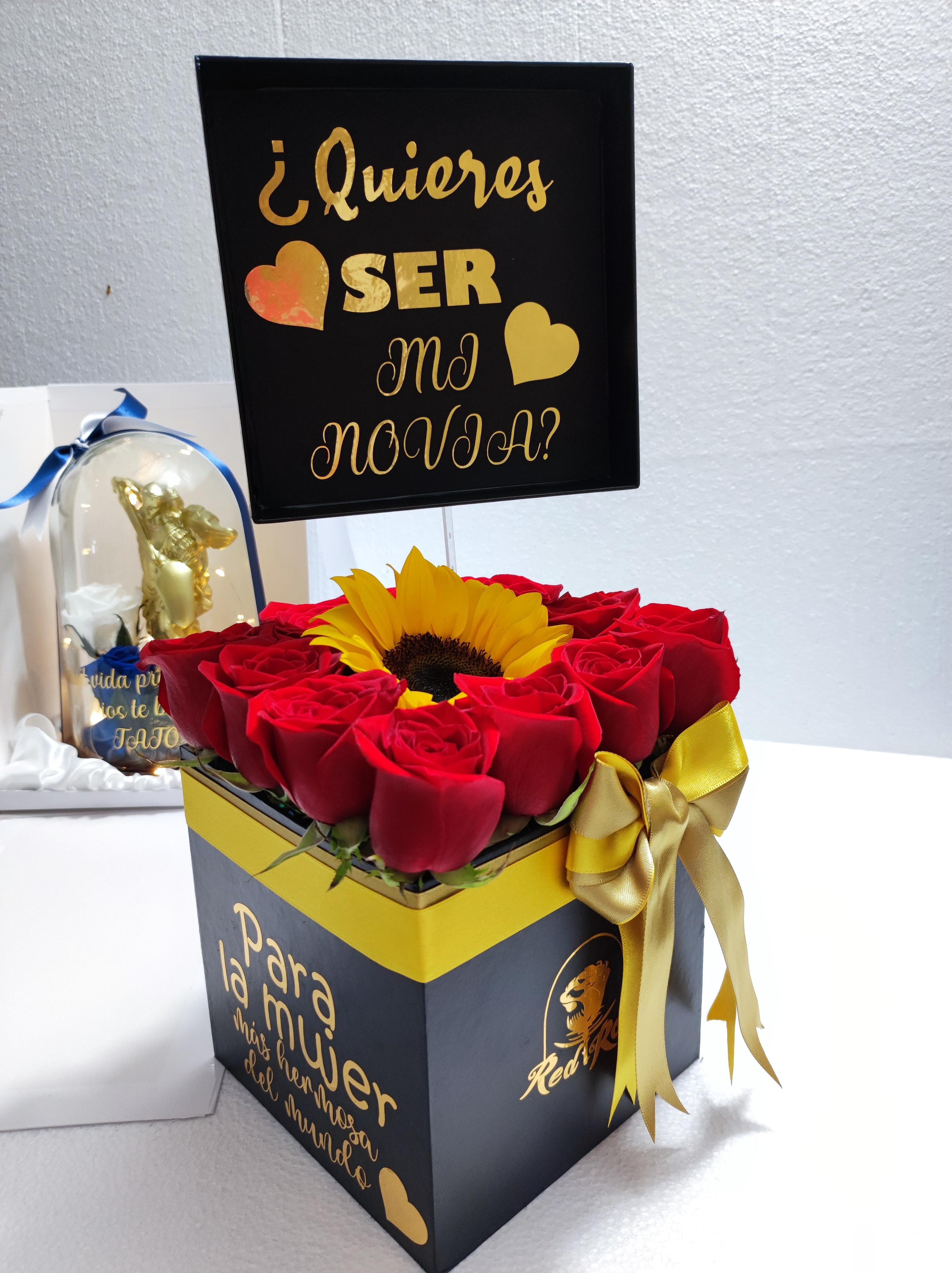 Brilla entre rosas-Frase - imagen del producto